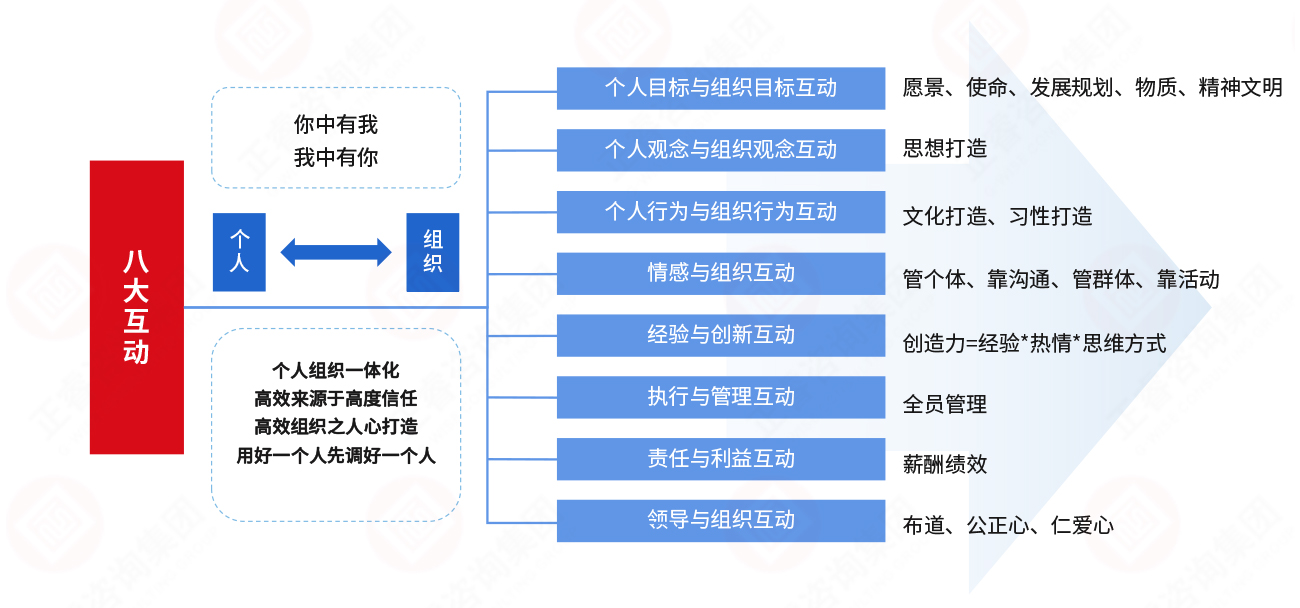 人力资源管理-高效组织的8大互动