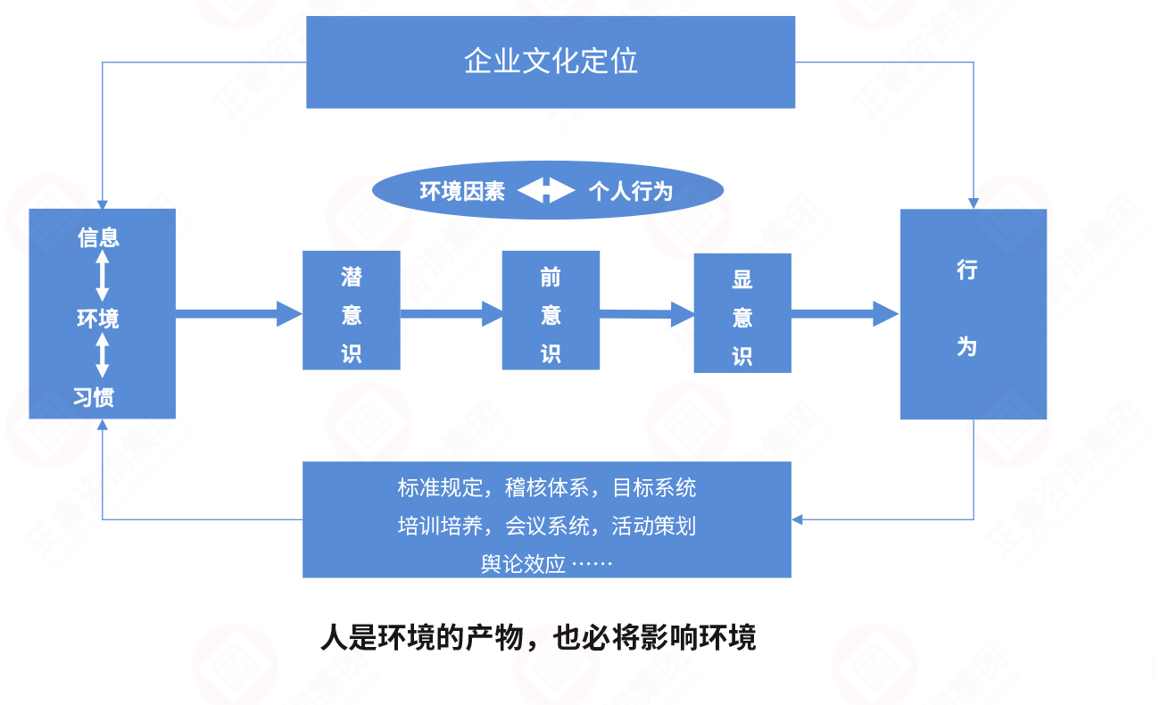 从环境到行为