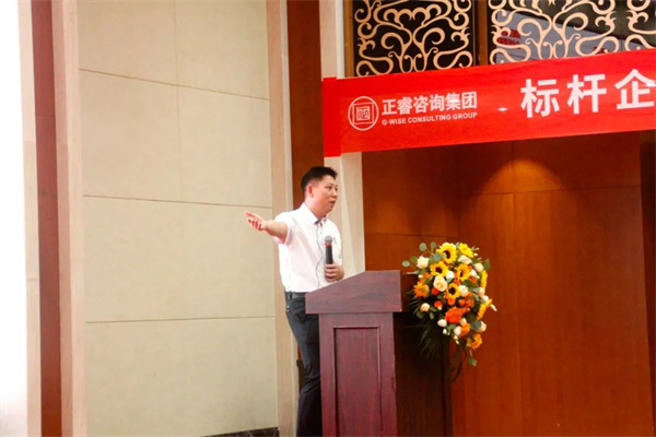 万向娱乐金涛教授